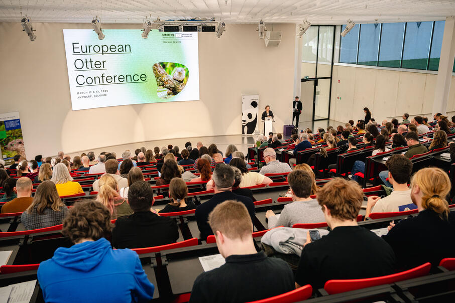 2026 03 12 Provincie Antwerpen Tom Cornille 9