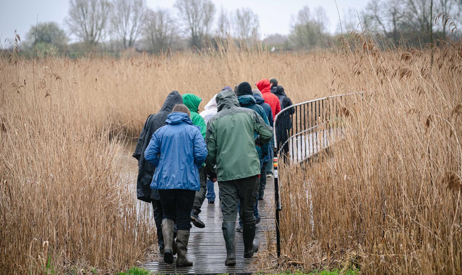 2026 03 13 Provincie Antwerpen Tom Cornille 2