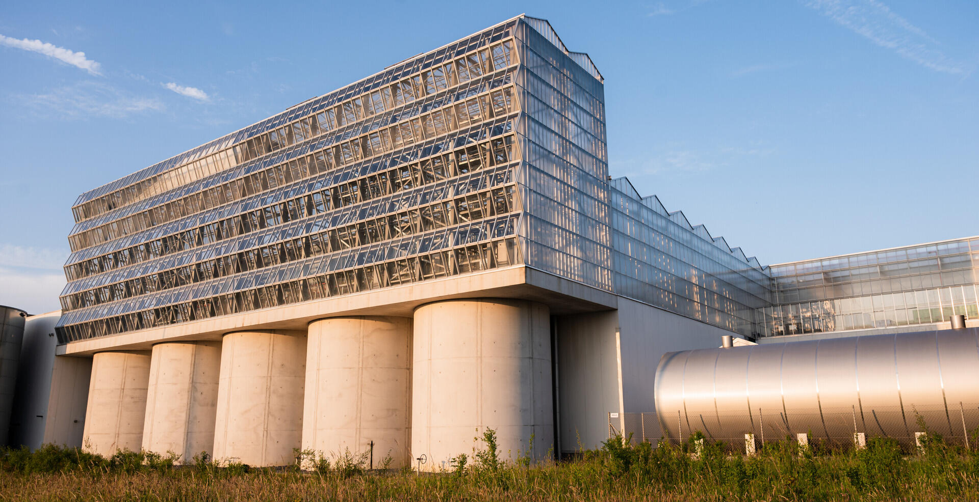 ILWG 20250612 Agrotopia 49