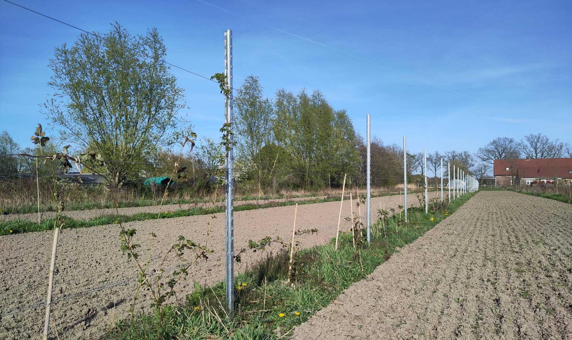 Somerse Velden selectie 2