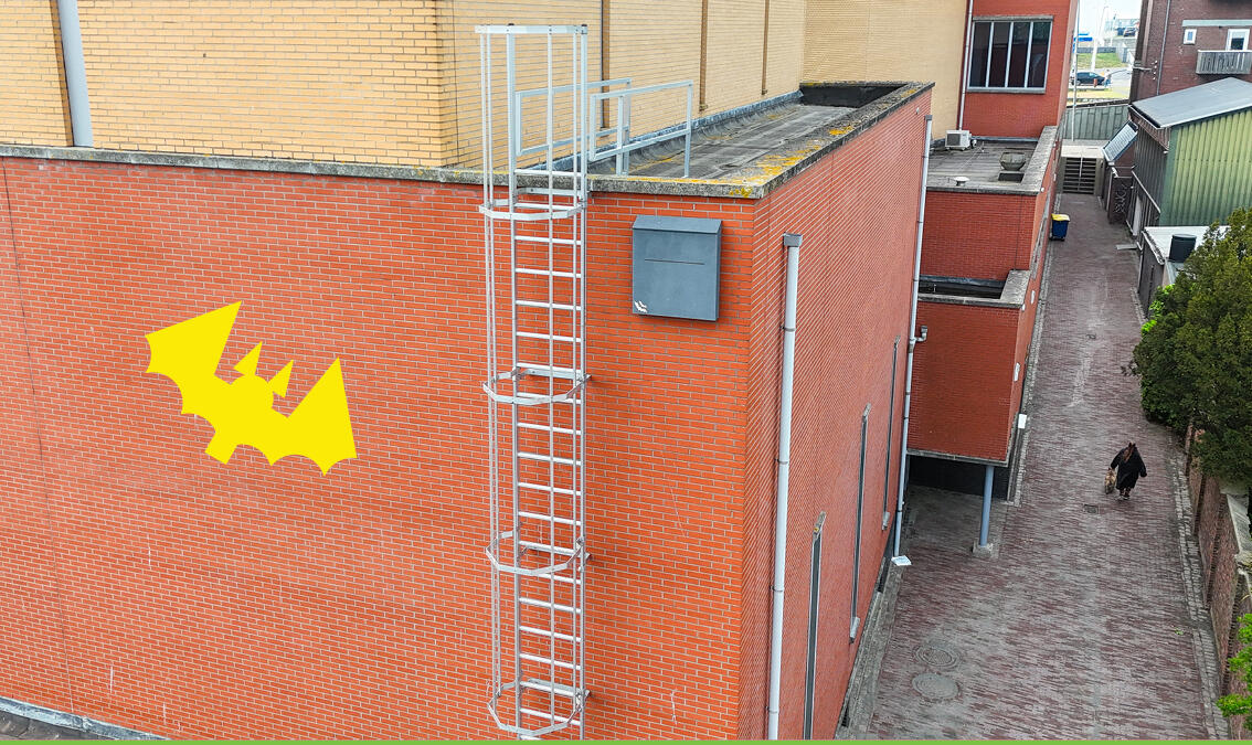 Scheldetheater Slotevent