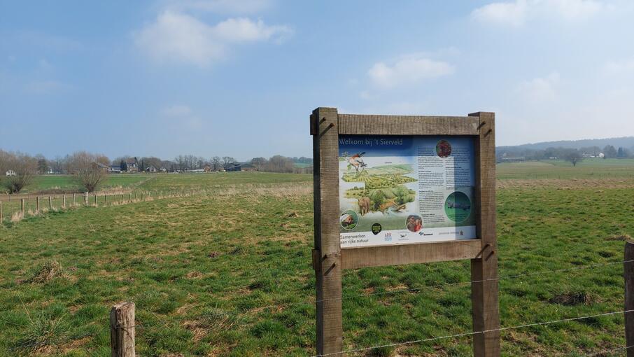 OD Sierveld4
