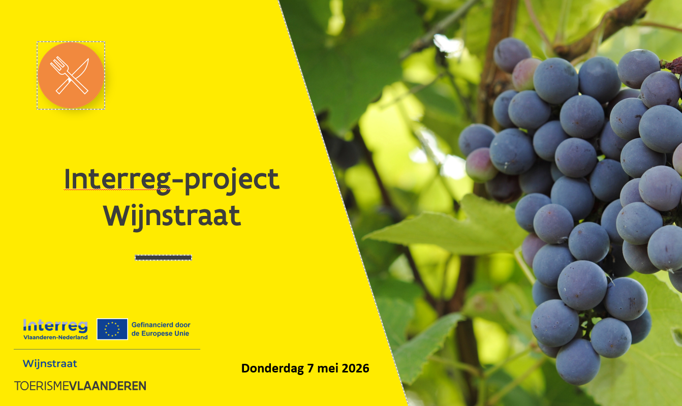 Schermafbeelding 2026 06 30 165034