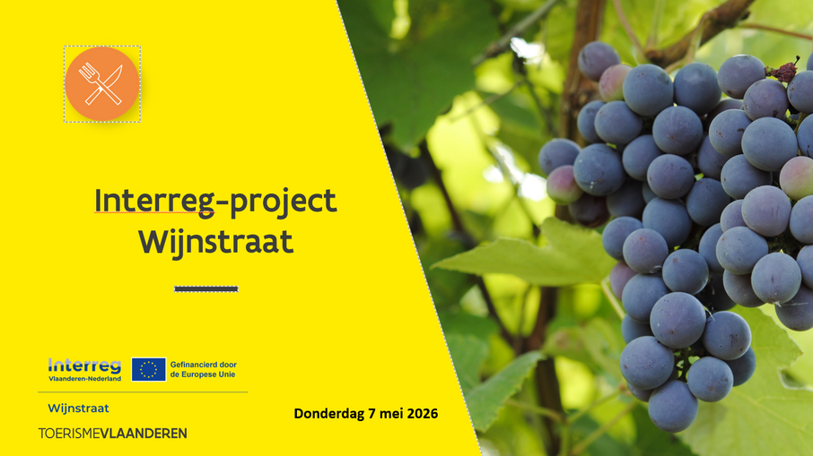 Schermafbeelding 2026 06 30 165034
