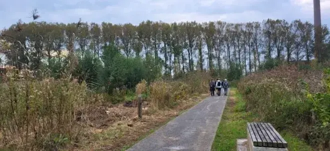 Afbeelding 1 jpg
