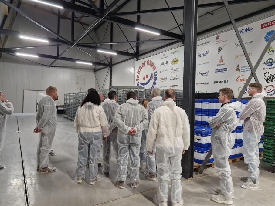 Kloeke Kip3 Jan Kuijpers