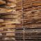 Hout