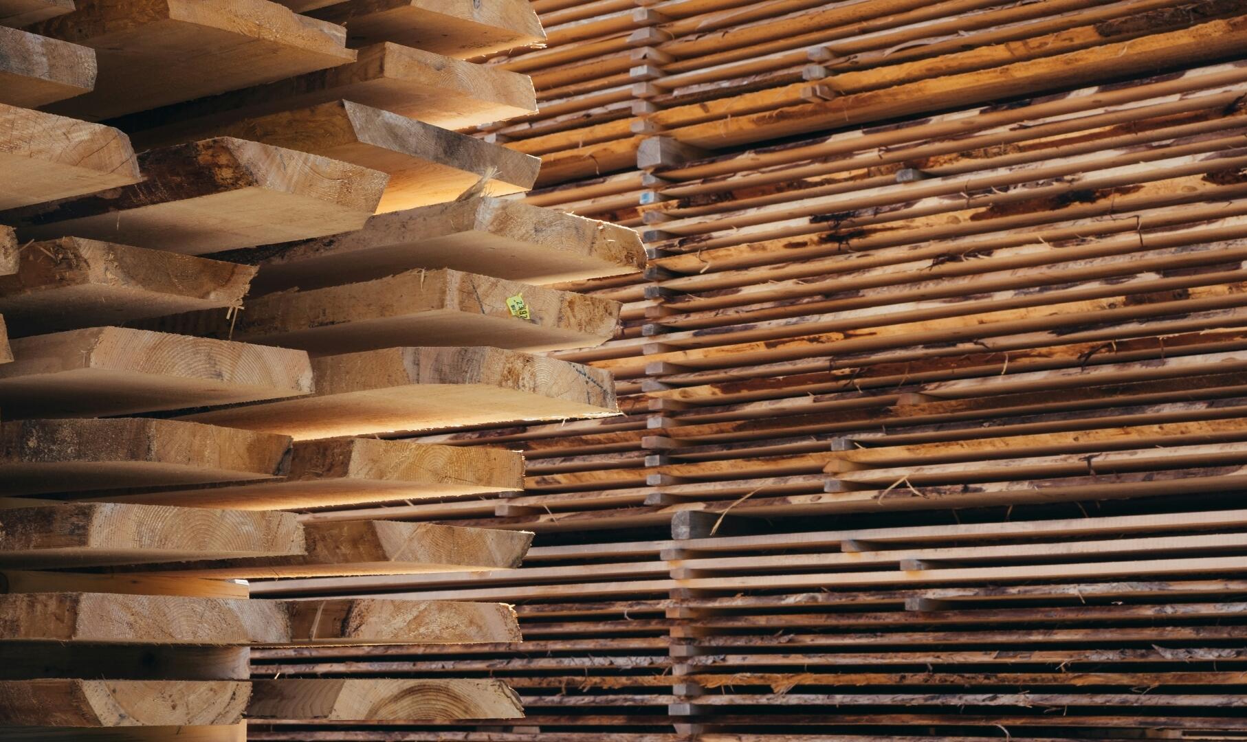 Hout