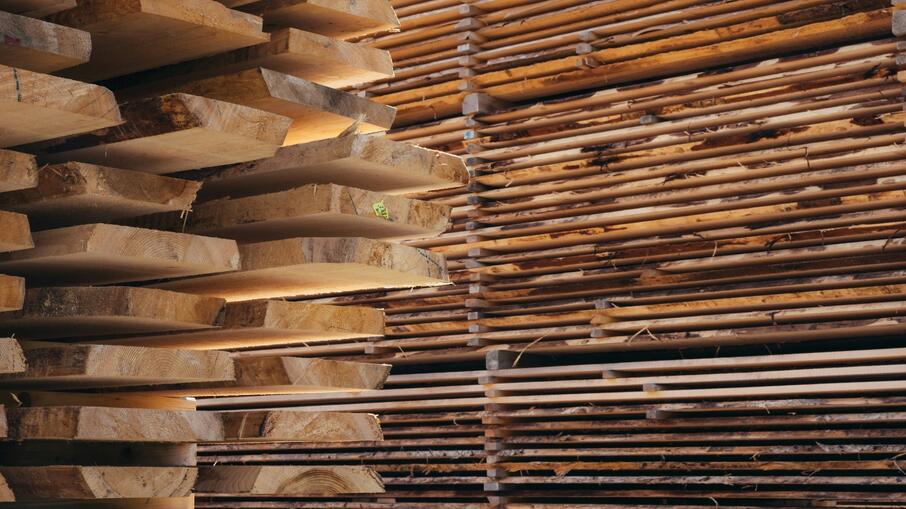 Hout