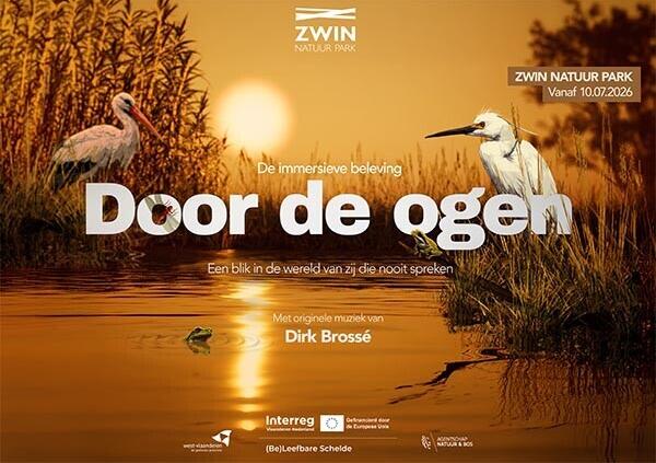 Zwin Natuur foto