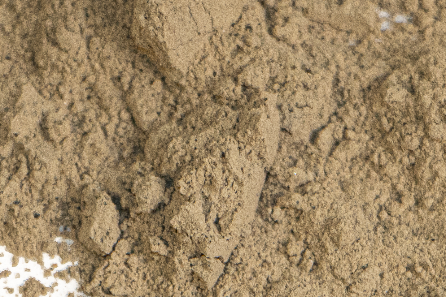 Zeoliet actionine 1