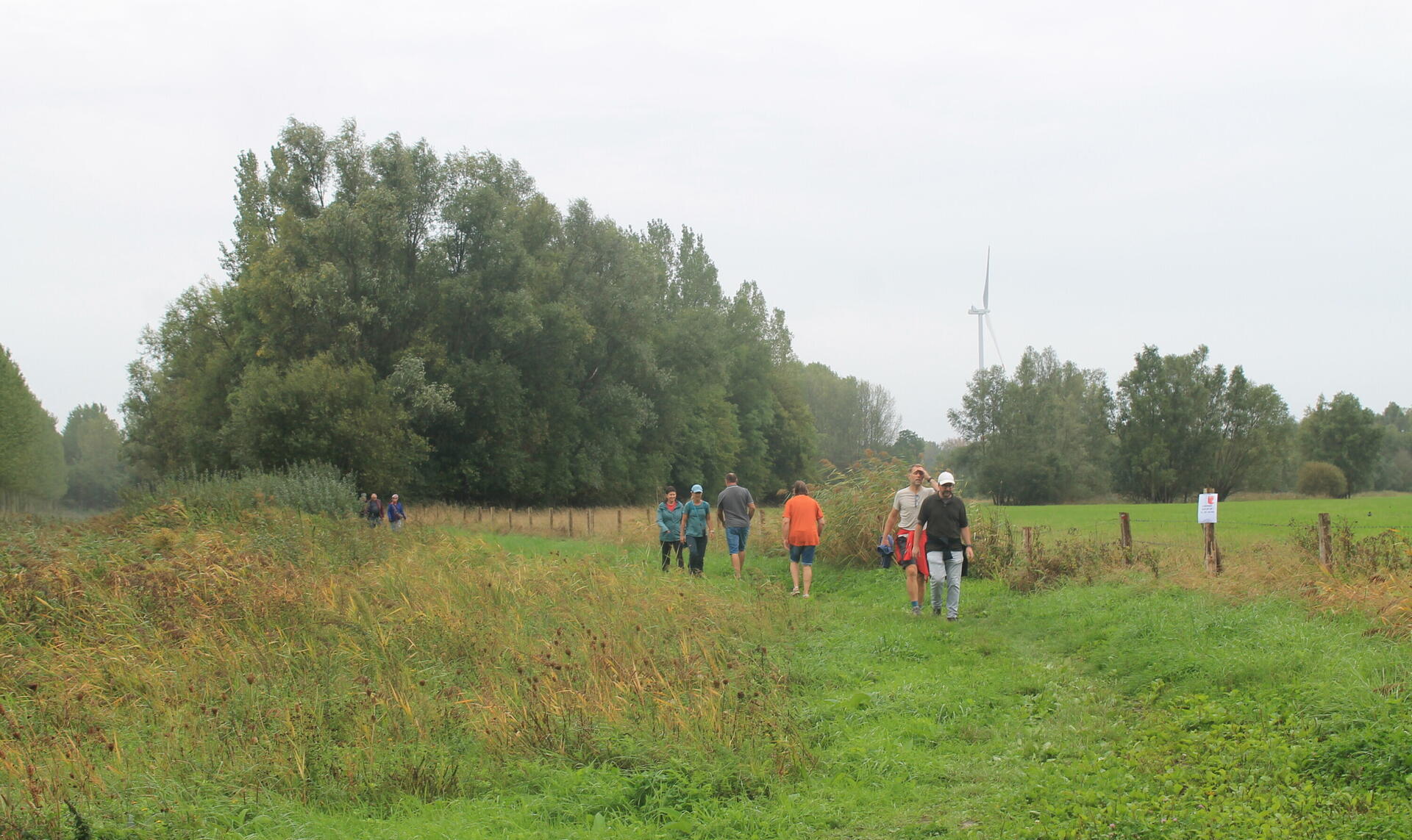 IMG 7336 3