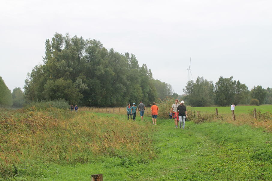 IMG 7336 3