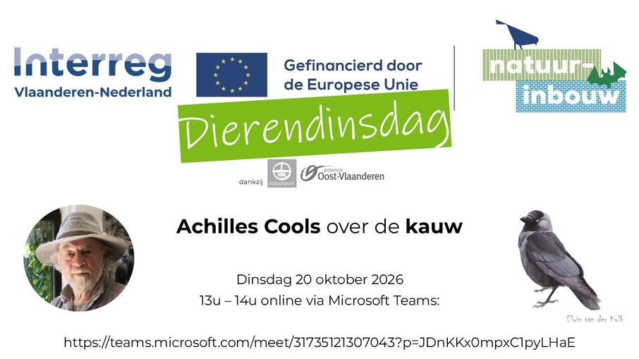 Achilles Cools kauw 20 okt 2026