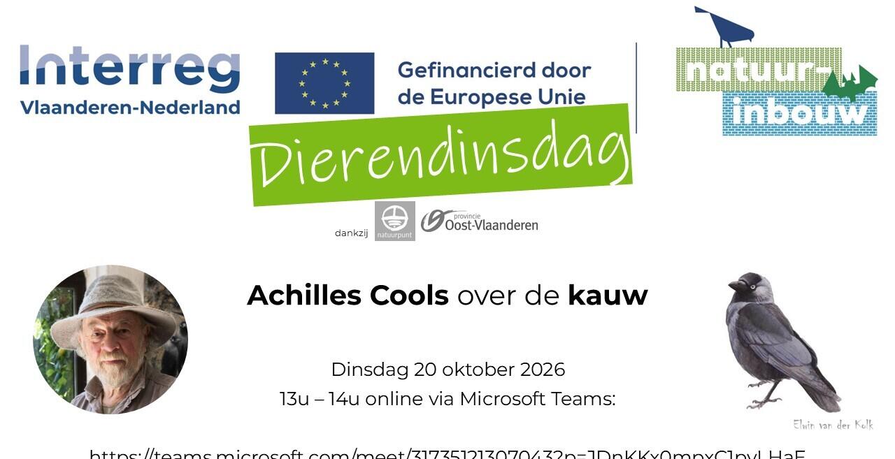 Achilles Cools kauw 20 okt 2026