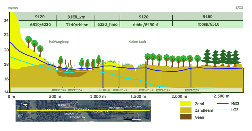 Figuur 3: Ecohydrologische dwarsdoorsnede van de vallei van de Kleine Laak
