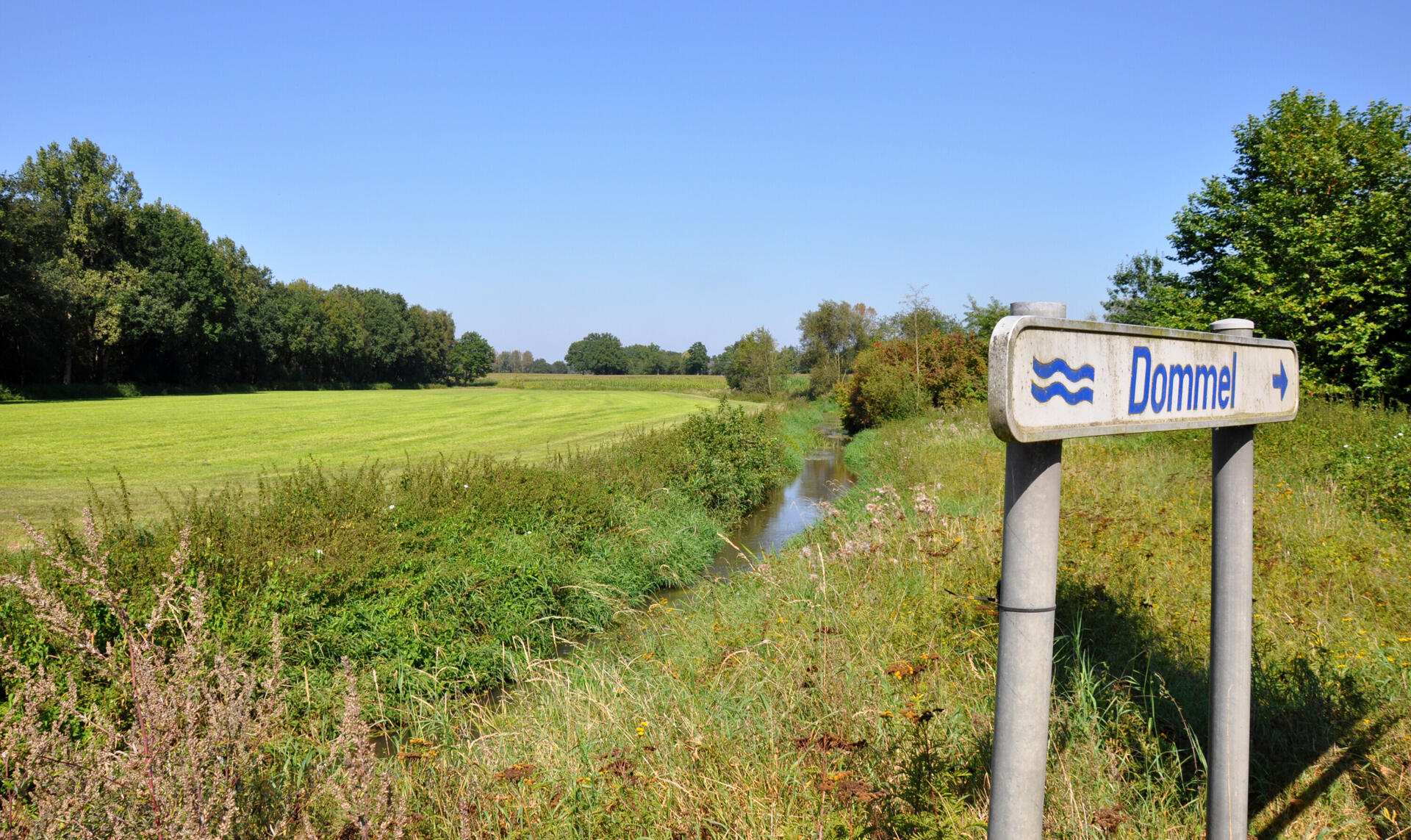 DSC 0080 bewerkt