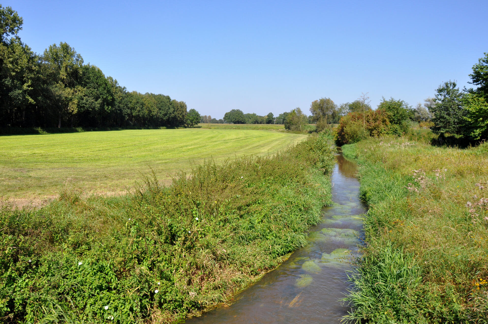 DSC 0081 bewerkt