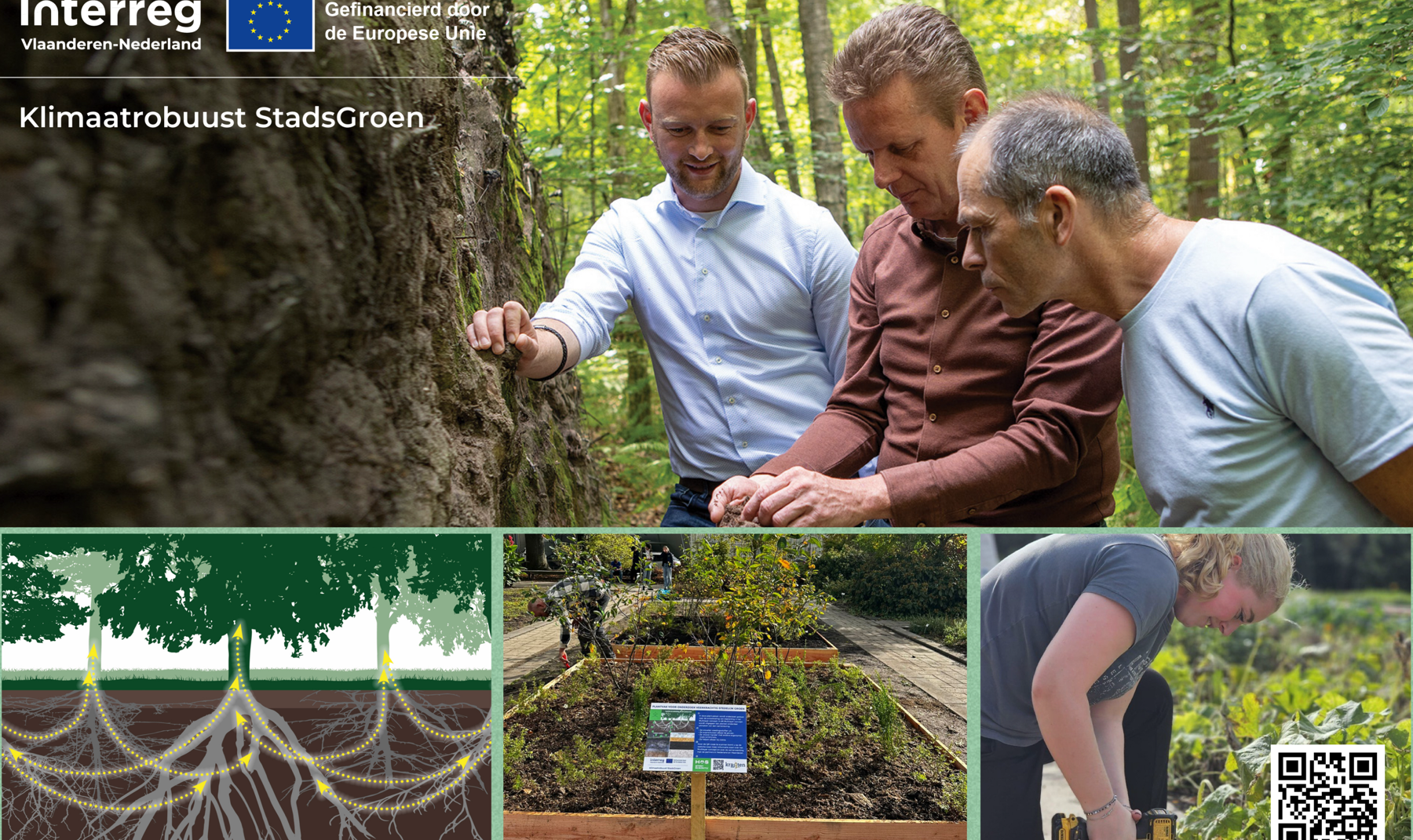 Workshop plantensamenstelling