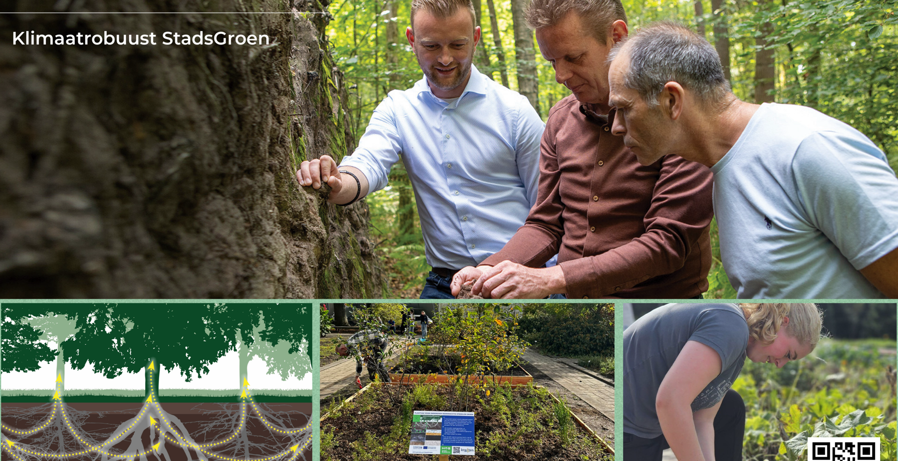 Workshop plantensamenstelling
