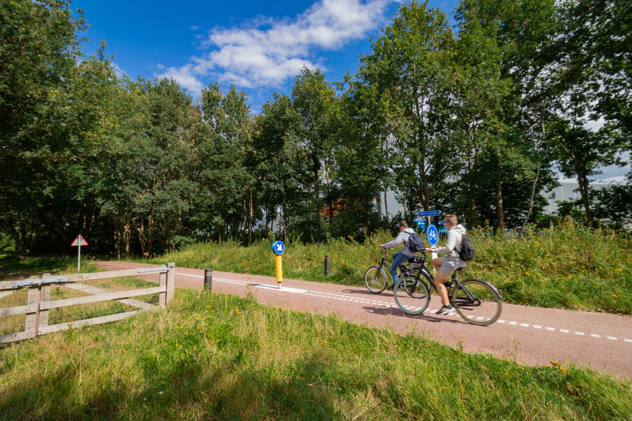 T Ilburg Kaaistoep 12169 Marthe Jacobs bedrijventerrein