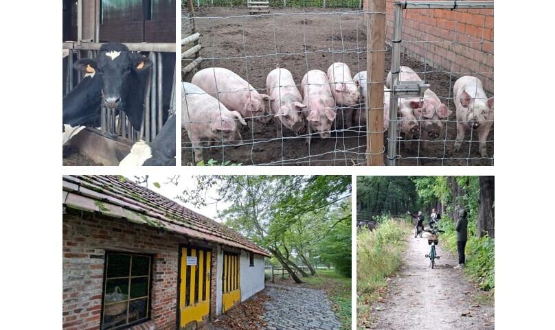 Artikel 20 Ontspoorde verhalen