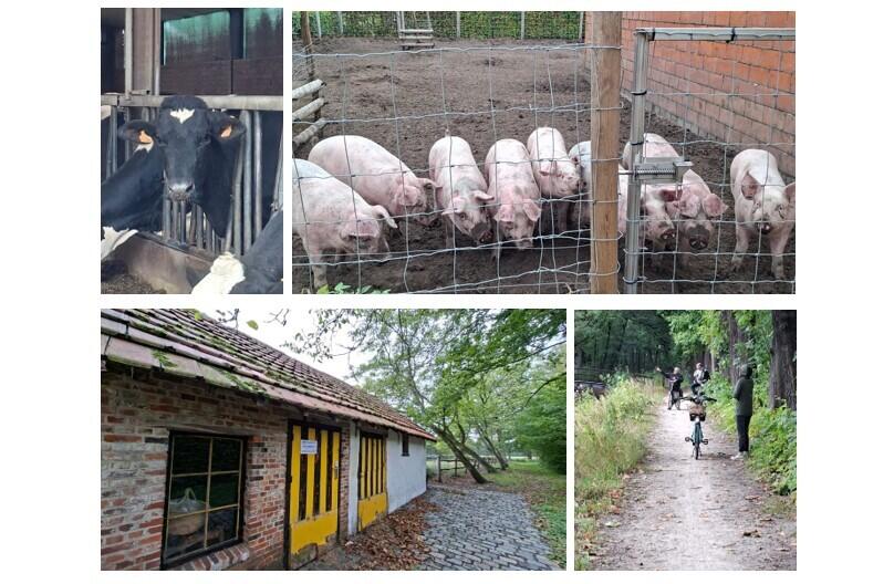 Artikel 20 Ontspoorde verhalen