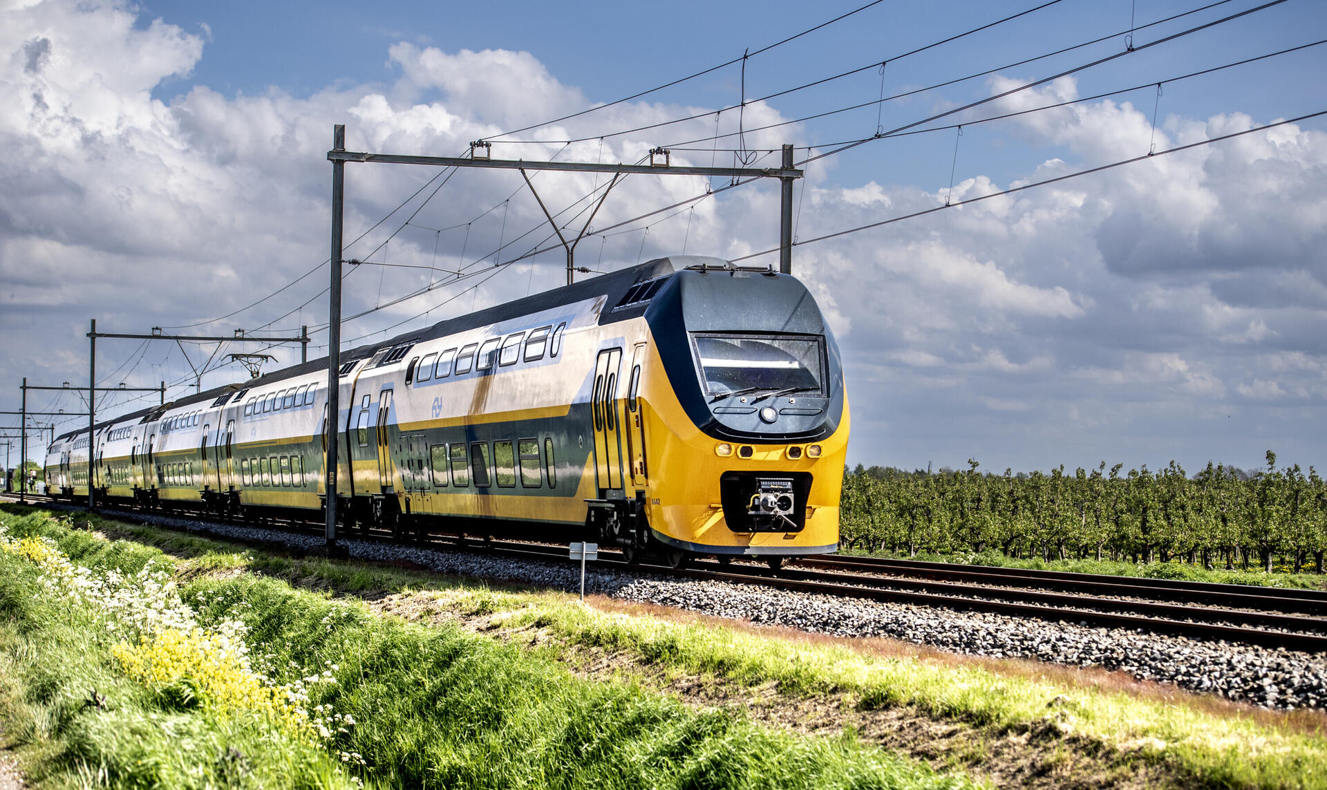 Trein